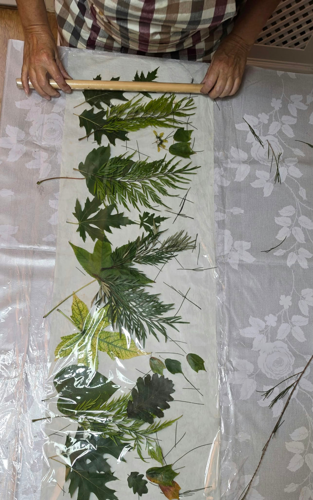 curso online de estampación botánica - ecoprint