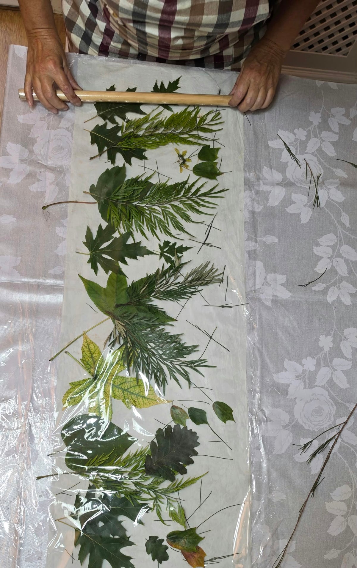 curso online de estampación botánica - ecoprint
